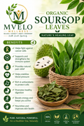 Soursop Leaves